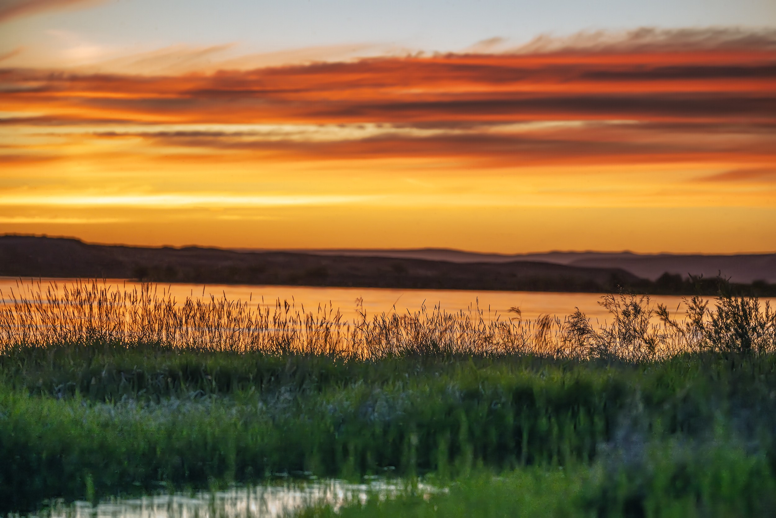 Ringold 01 (Washington)